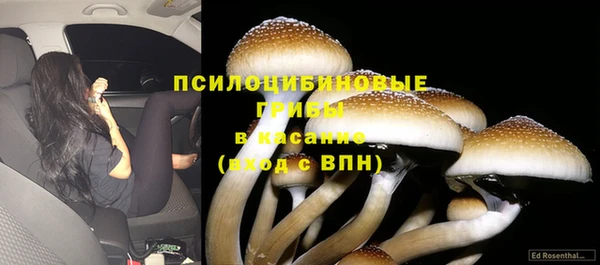 сатива Алексеевка