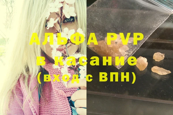 ПСИЛОЦИБИНОВЫЕ ГРИБЫ Алзамай