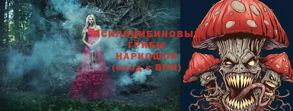 ПСИЛОЦИБИНОВЫЕ ГРИБЫ Алзамай