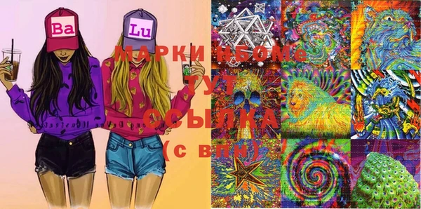 сатива Алексеевка